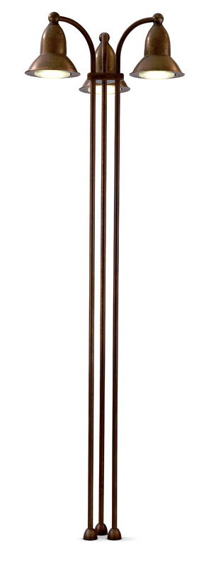 Akebia5